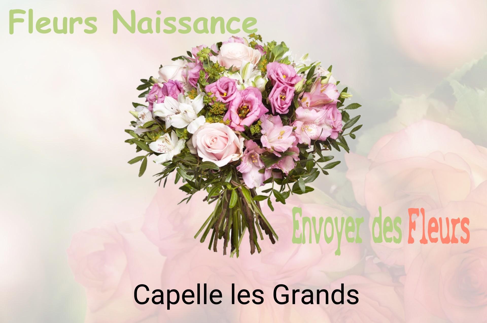 Bouquet de fleurs de naissance livré à Capelle-les-Grands
